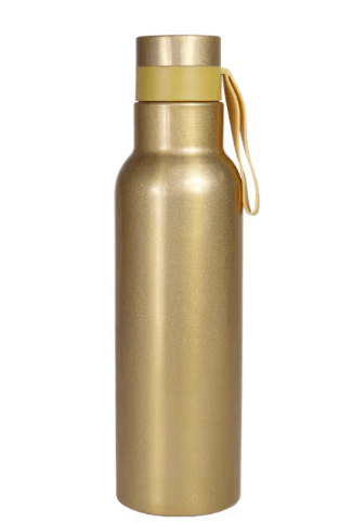 Screenshot 2026-03-27 at 22.31.04 Heritage 530ml Insulated Bottle Roach